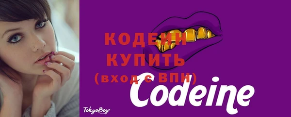 стаф Инта